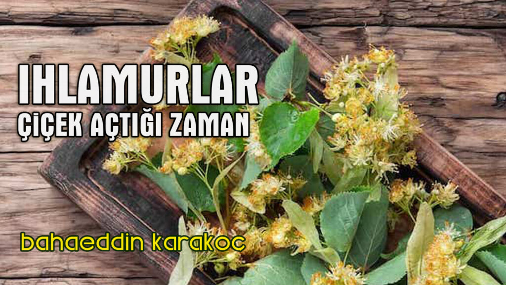 Ihlamurlar Çiçek Açtığı Zaman | Bahaeddin Karakoç / Şiir