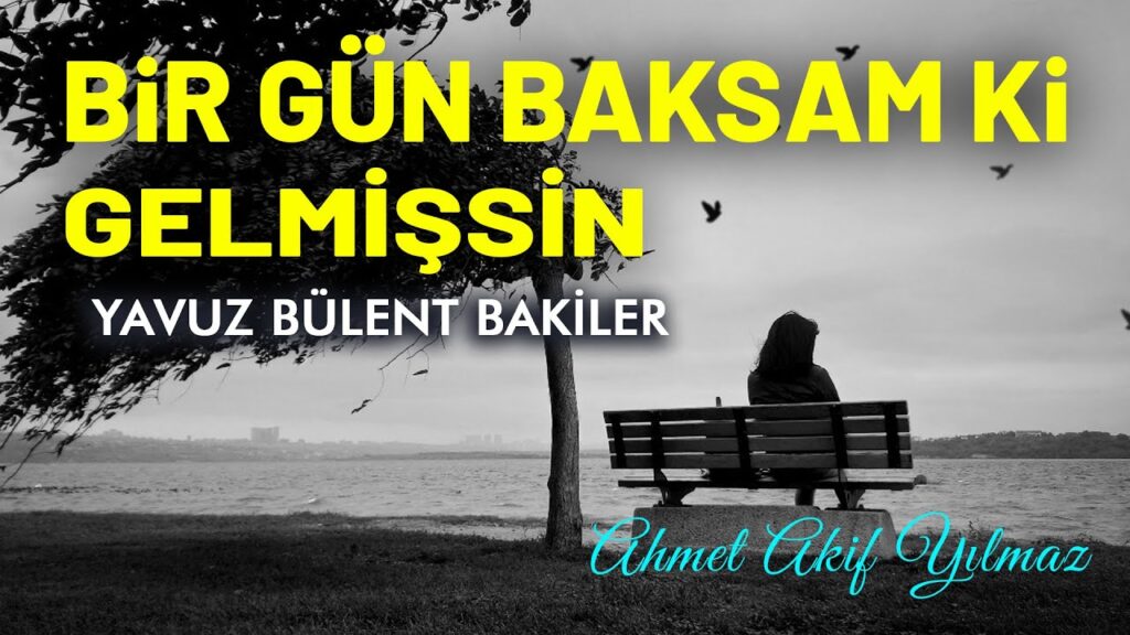 Bir Gün Baksam ki Gelmişsin | Yavuz Bülent Bakiler / Şiir