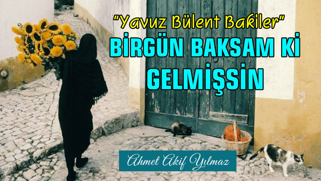Bir Gün Baksam Ki Gelmişsin | Yavuz Bülent Bakiler / Şiir